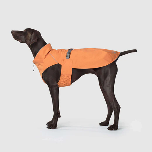 Canada Pooch Expedition Raincoat