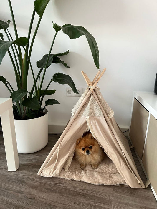 Boho Tipi Bed