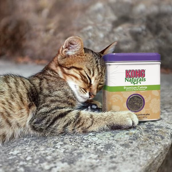 Kong Naturals Premium Catnip