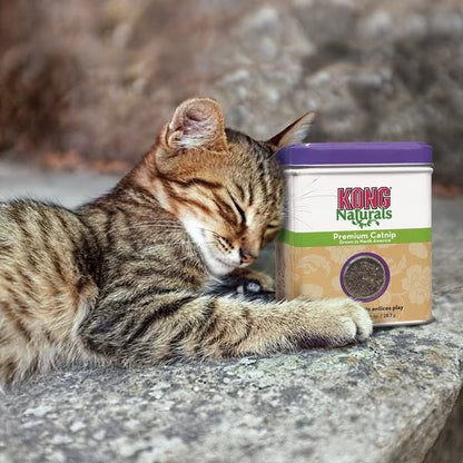 Kong Naturals Premium Catnip