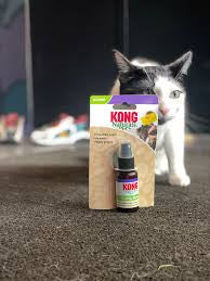 Kong Naturals Catnip Spray